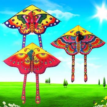 Papillon Volant Outdoor 90×50 cm – Ensemble Cerf-Volant pour Enfants