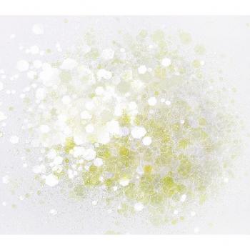 50g Holographic Confetti Glitter Mix