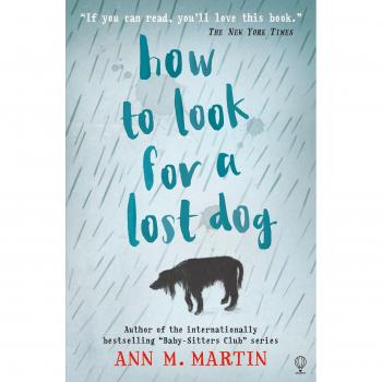 How to Look for a Lost Dog, Ann M. Martin, Used; Good Book