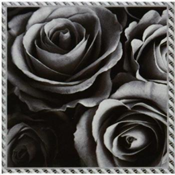 Escena Plateada 3D Rose