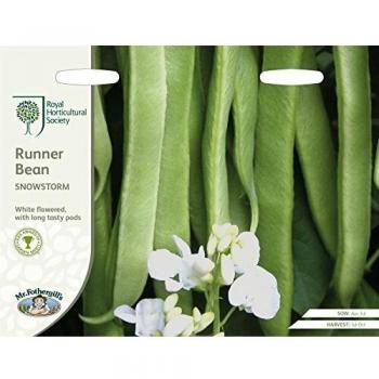RHS Recommended Runner Bean Benchmaster, 40 Seeds