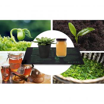 Seed Germination and Growth Pad