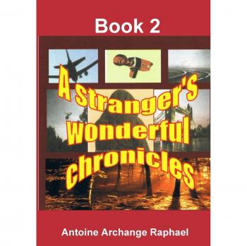 A stranger's wonderful chronicles, Book 2
