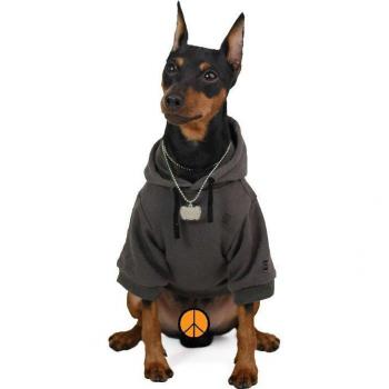 Kleine-Mittel Hundekleidung