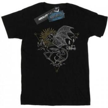 T-shirt nera Harry Potter Thestral Line Art per bambina 12-13 anni