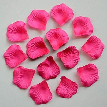 Shatchi Luxe Silk Rose Confetti – 500 Pieces