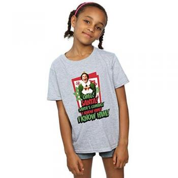 Festive Santa Gray Tee