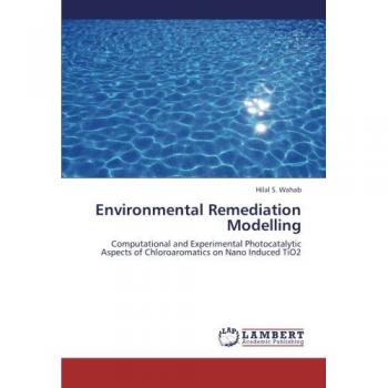 Environmental Remediation Modelling