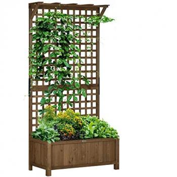 Soporte para Plantas Trepadoras con Celosía de Madera