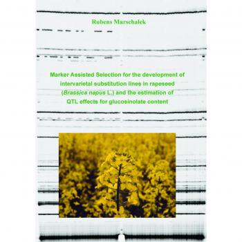 Marker Assisted Selection for the development of intervarietal substitution lines in rapeseed