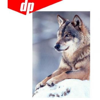 5D Kreuzstich Braut Dekoration