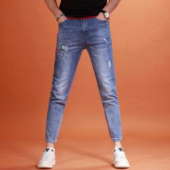 Ankle‑Length Blue Print Ripped Jeans