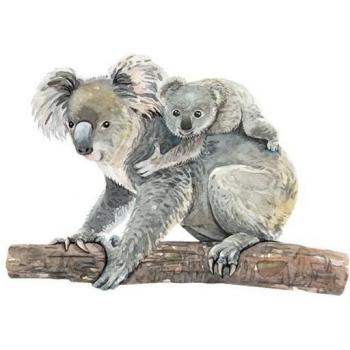 Motif Mur Autocollant Koala