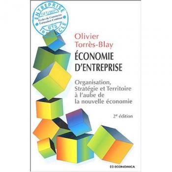 Olivier Torrès-Blay Economie D'Entreprise : Organisation, Stratégie Et Territoire À L'Aube De La Nouvelle Économie