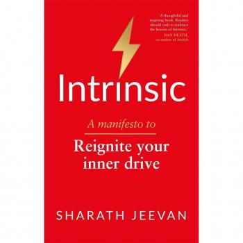 Intrinsic: A manifesto to reignite your inner drive