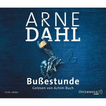 Bußestunde: Kriminalroman: 6 CDs