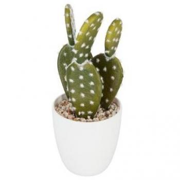Vaso per Cactus 18cm