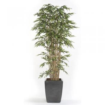 Bambú Japonés Deluxe 185 cm con 2460 Hojas