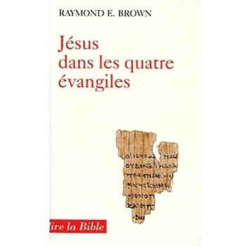 Jésus dans les quatre Évangiles : Introduction à la christologie du Nouveau Testament (Lire la Bible)