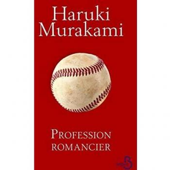 Profession romancier