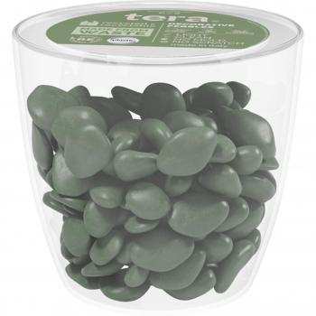 Decoración Verde para Macetas y Aguas