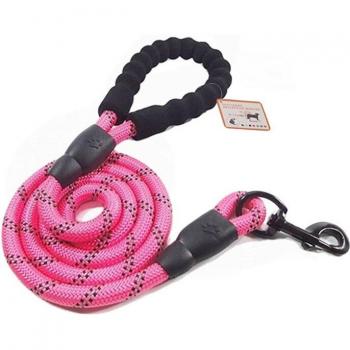 Corde d'escalade pour chien réfléchissante