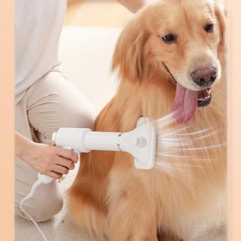 Cepillo Multifuncional Secador de Pelo para Mascotas