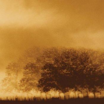 Rivulets Infinite Light Ltd. (Vinyl LP)