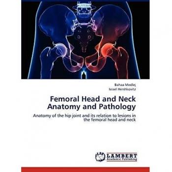 Femoral Head and Neck Anatomy and Pathology: Anatomy of the hip joint and its relation to lesions in the femoral head and neck