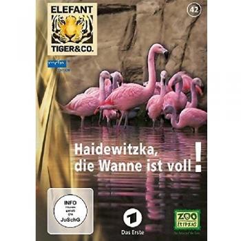 Elefant, Tiger & Co.