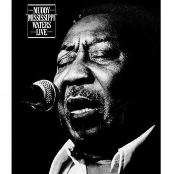Muddy Mississippi Waters
