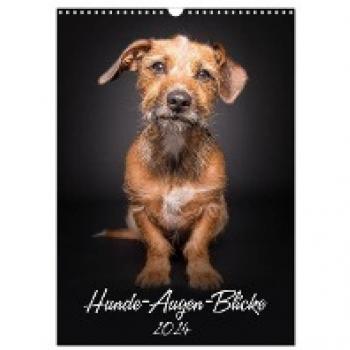 Hunde-Augen-Blicke (Wandkalender 2024 DIN A3 hoch) CALVENDO Monatskalender