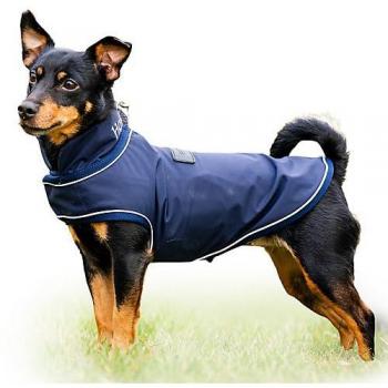 Trocken & Stylisch – Horseware Hundemantel
