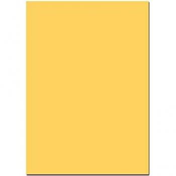 Blake Premium Business Paper A4 Cream Wove 120gsm Pack of 500