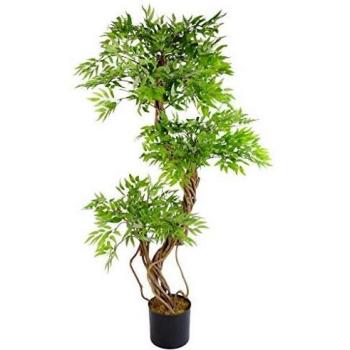Green & Black Realistic Ficus Tree