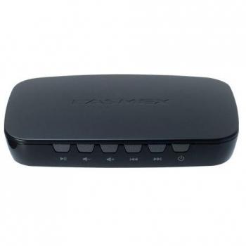 Lasmex LBT-10 v2.1 Mini-USB Bluetooth Musik-Receiver