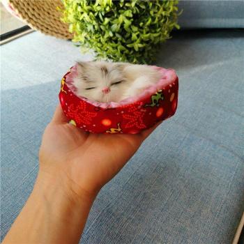 Realistic Kitten Doll