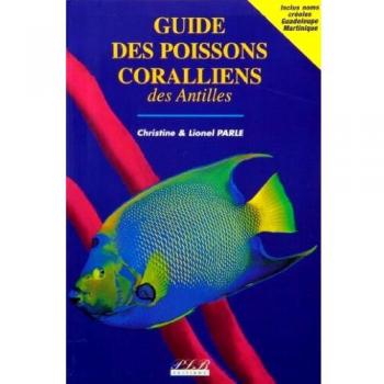 Guide des poissons coralliens des Antilles