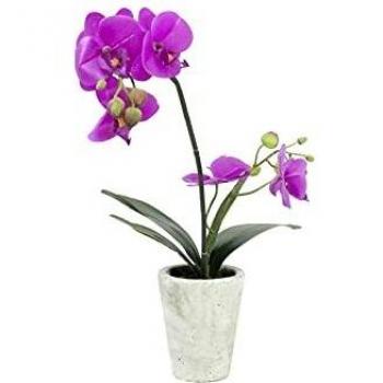 Orchidee in Dekotopf – EUROPALMS künstliches 3er Set