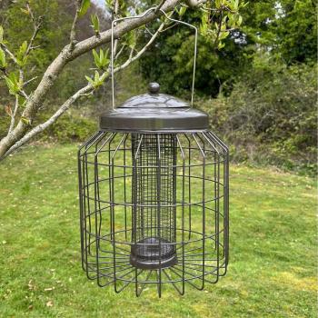 Squirrel Proof Nut Feeder