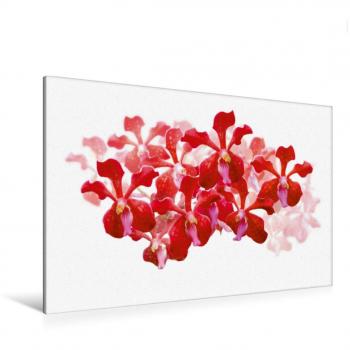 Premium Vanda Orchidee Leinwanddruck – CALVENDO 120 × 80 cm, Rot‑Pink