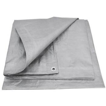 Telo di protezione argento 120g 10x20m