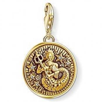 Charm Acuario de Plata con Circonitas