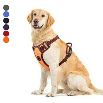 Imbragatura regolabile anti‑tiro per cani di taglia grande