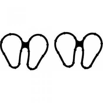 REINZ Kit guarnizioni collettore aspirazione RENAULT, NISSAN 11-33448-01