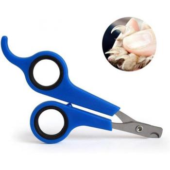 Stainless Steel Claw Scissors