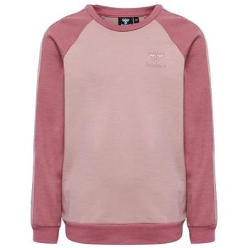Ropa de Entrenamiento Hummel Wulbato Niños