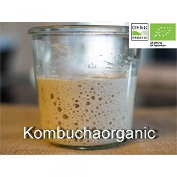 0g of 38 year old Cumbria Wild Yeast Sourdough Starter Organic Rye Candida Diet