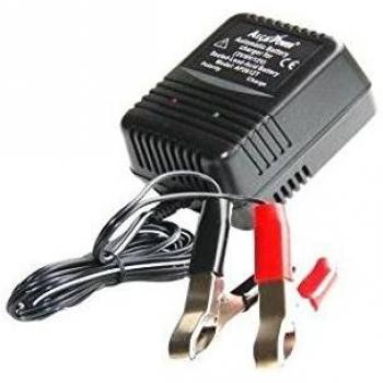 Caricabatterie per batterie al piombo 2-6-12 Volt