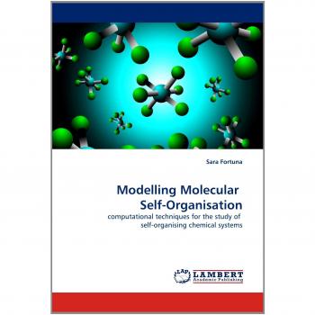 Modelling Molecular Self-Organisation: computational techniques for the study of self-organising chemical systems
